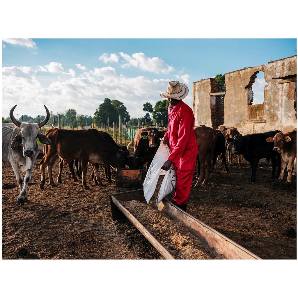 Trade Polycotton Conti Suit thumbnail 3