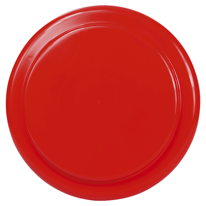 Frisbee Vanessa thumbnail 3