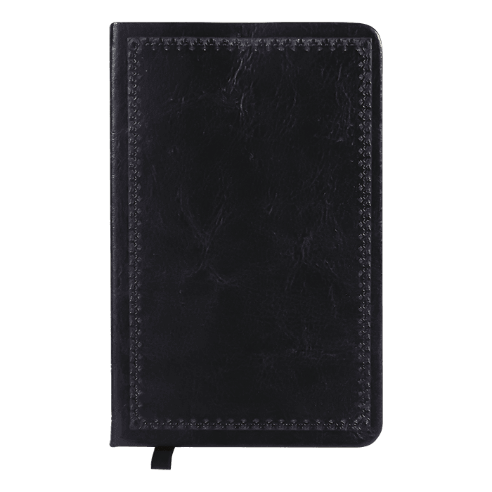 Pu Journal thumbnail 3