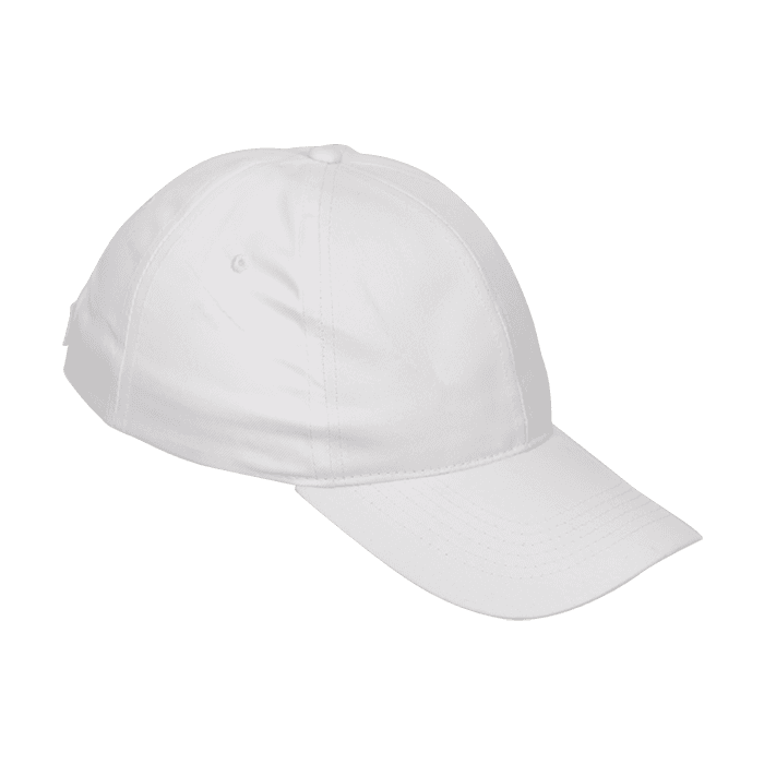 6 Panel Boost Cap thumbnail 3