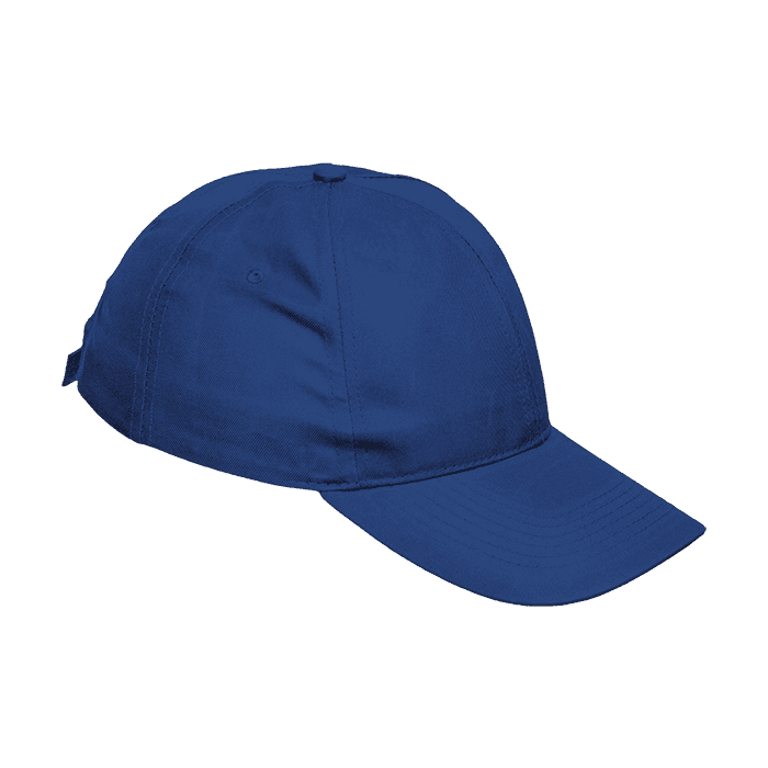 6 Panel Boost Cap thumbnail 5