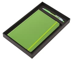 Flexi Notebook & Neo Pen Set