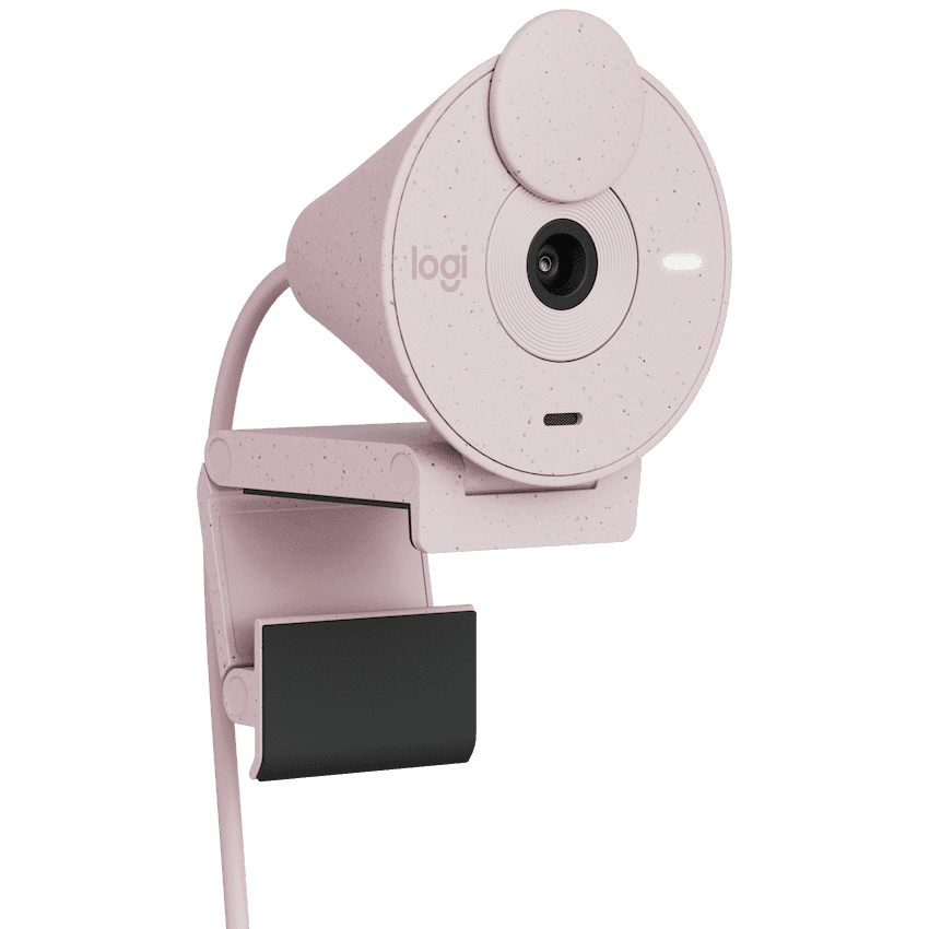 Logitech(R) Brio 300 Full HD Webcam - Rose
