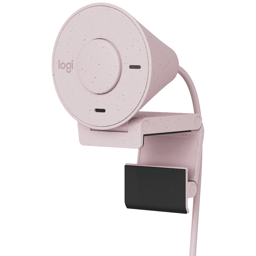 Logitech(R) Brio 300 Full HD Webcam - Rose