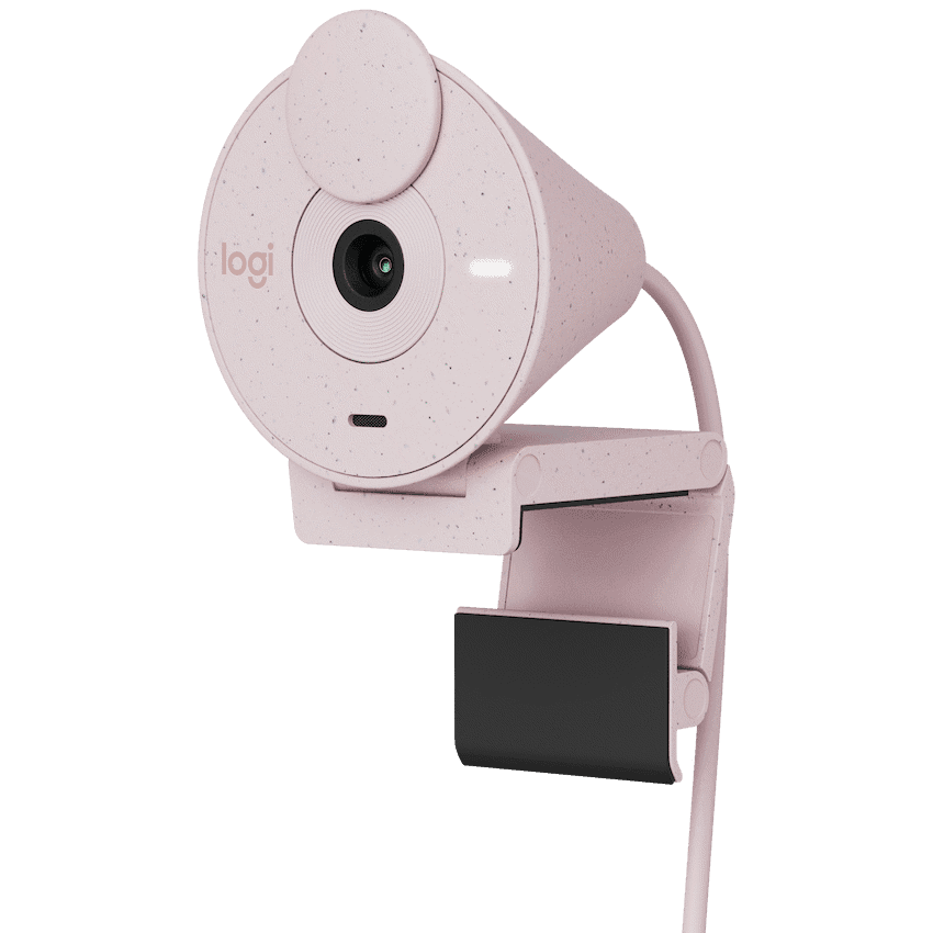 Logitech(R) Brio 300 Full HD Webcam - Rose