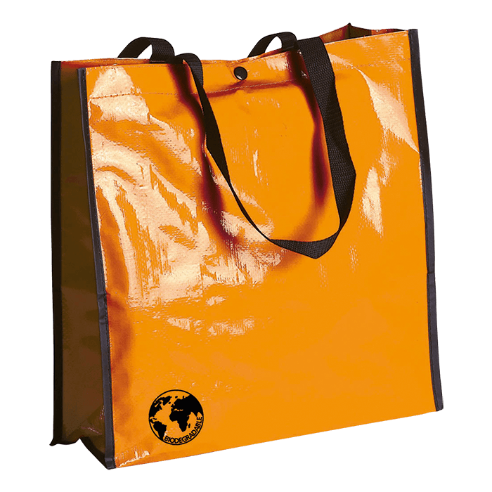 Recycle Bag