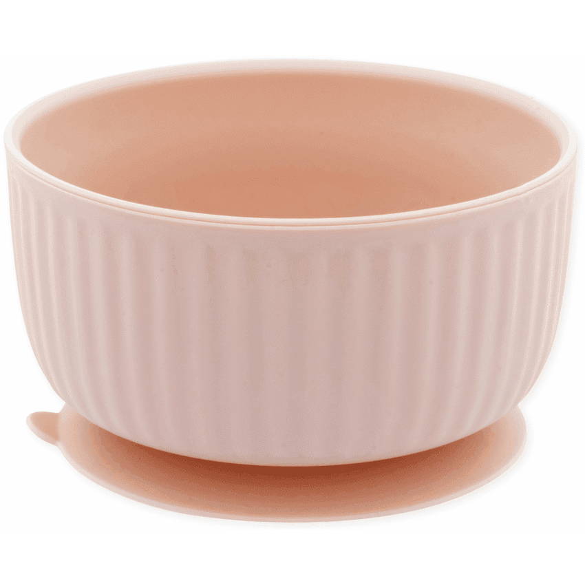 Echo Baby Silicone Suction Bowl