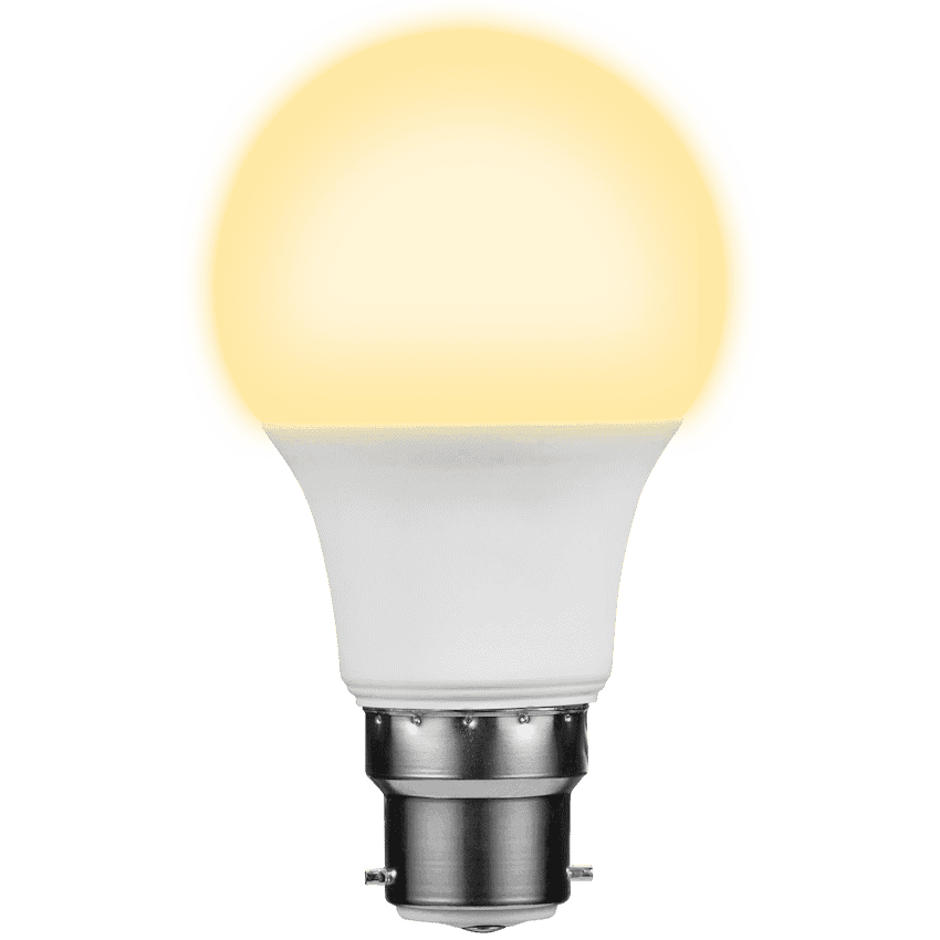 Ellies 9W A60 RESIDENTIAL LED-B22-WW