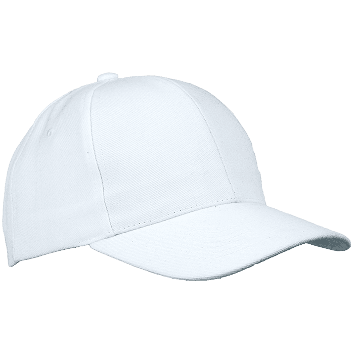 6 Panel Raven Cap