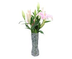 Flower Vase - Spiral