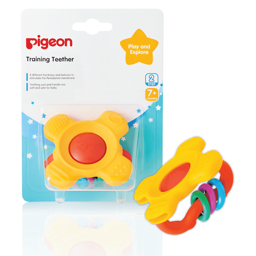 Pigeon - Training Teether Step 2