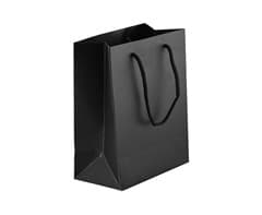 230gsm Matte Gift Bag - 33cm