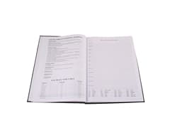 Satin Diary A5