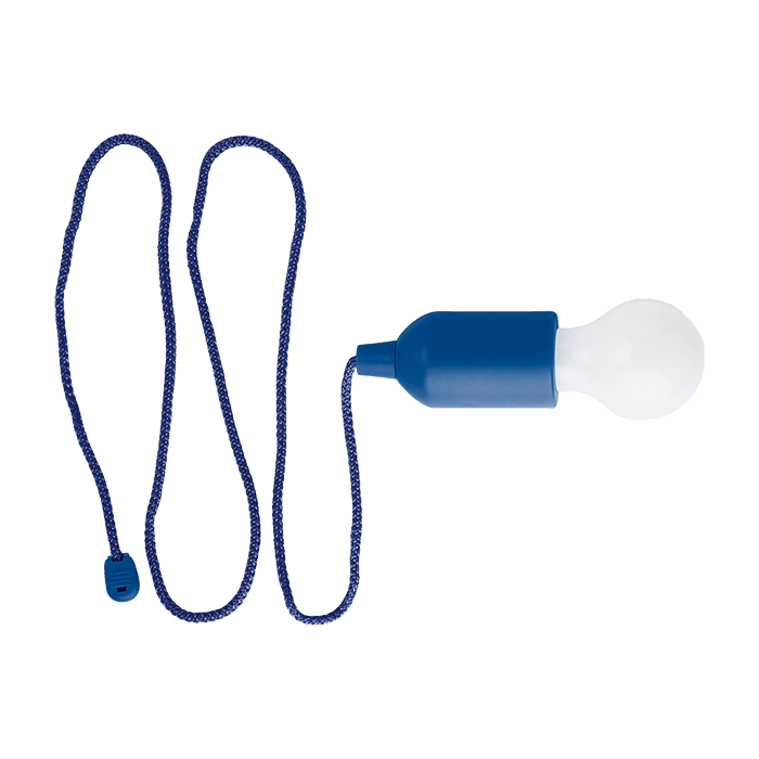 Light Bulb Shaped LED Light