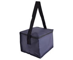 PVC 6-Can Cooler