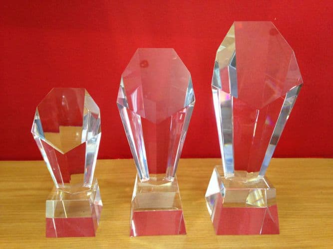 Discovery Award 18.5cm