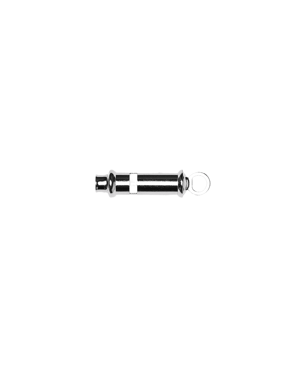 Whistle