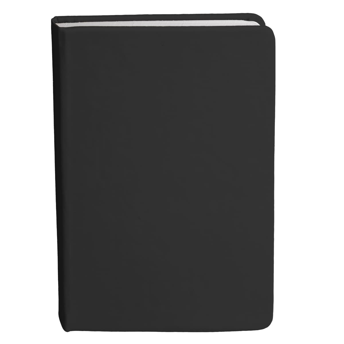 Bingham Notebook