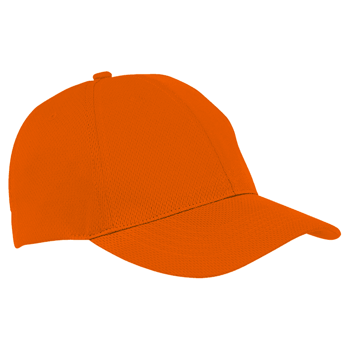 6 Panel Alloy Cap