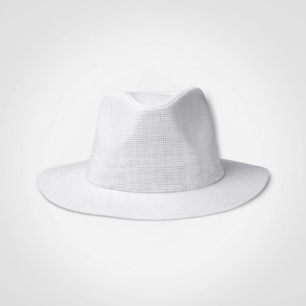 Panama Hat - Image 4