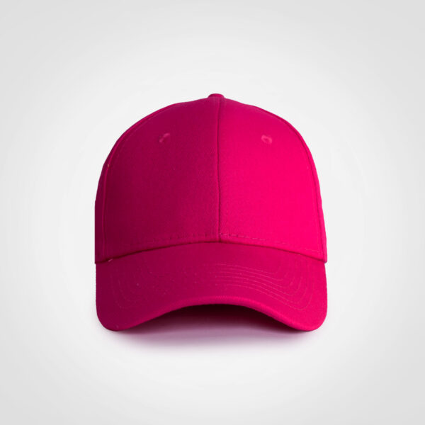 Promo 6 Panel Cap - Image 20