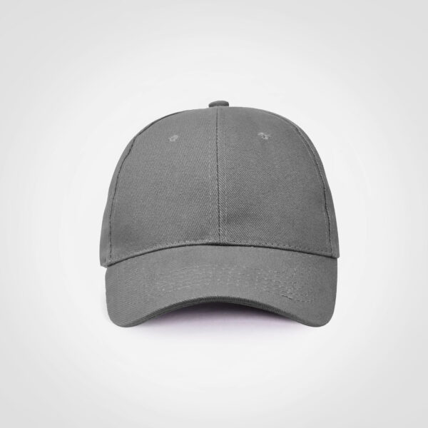 Promo 6 Panel Cap - Image 17