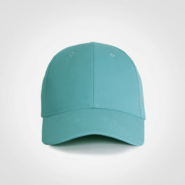 Promo 6 Panel Cap - Image 21