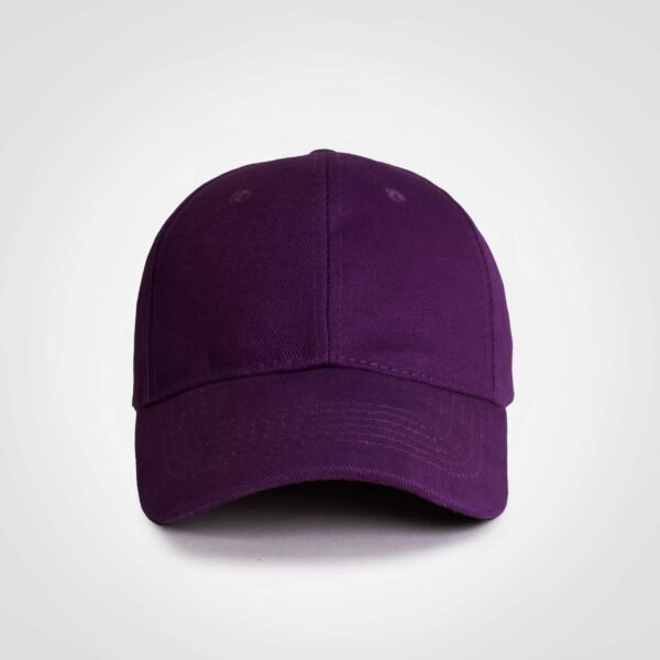 Promo 6 Panel Cap - Image 10