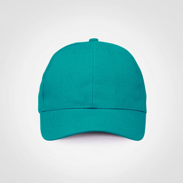 Promo 6 Panel Cap - Image 22