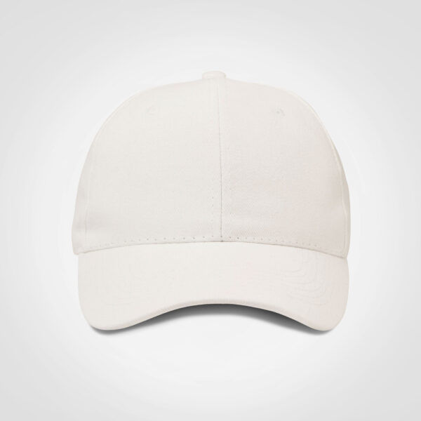 Promo 6 Panel Cap - Image 14