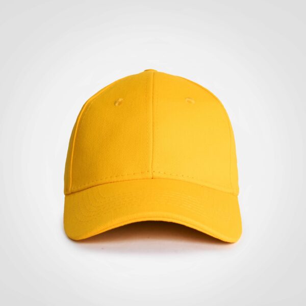Promo 6 Panel Cap - Image 15