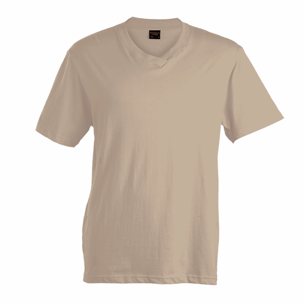 180g Barron V-Neck T-Shirt (TSV180B) - Image 14