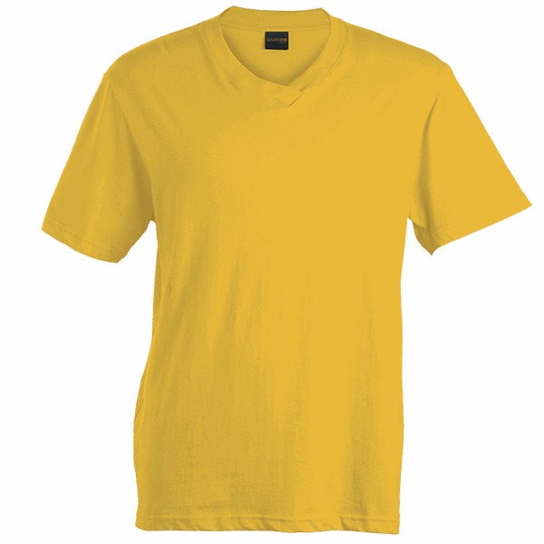 180g Barron V-Neck T-Shirt (TSV180B) - Image 19